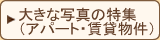 �傫�Ȏʐ^�̓��W�@�A�p�[�g�E���̑���