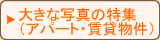 �傫�Ȏʐ^�̓��W�@�A�p�[�g�E���̑���