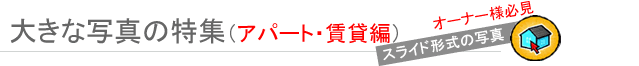 �傫�Ȏʐ^���W�@�A�p�[�g�E���̑���