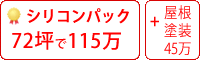 シリコン塗料パック