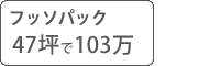 フッソ塗料パック