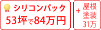 シリコン塗料パック