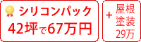 シリコン塗料パック