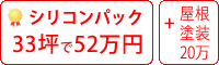 シリコン塗料パック