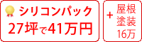 シリコン塗料パック