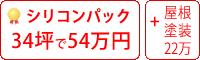 シリコン塗料パック