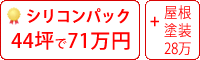 シリコン塗料パック