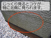 基礎近くの風通しの悪い箇所の外壁