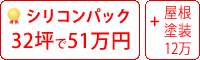 シリコン塗料パック