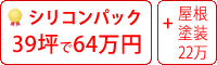 シリコン塗料パック