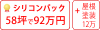 シリコン塗料パック