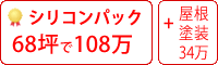 シリコン塗料パック