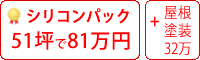 シリコン塗料パック