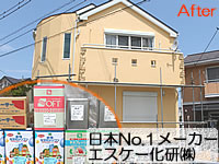 日本No.1メーカーのエスケー化研（株）の塗料での塗装