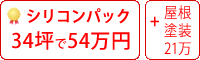 シリコン塗料パック