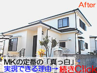 汚れにくい塗料を使用しての真っ白外壁塗装