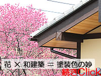 花×和建築＝塗装色の妙