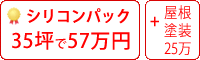 シリコン塗料パック