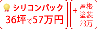 シリコン塗料パック