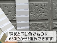 追加料金なしで650色から塗装色を選べます。