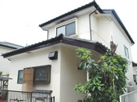 SR-178の色で塗装した加須市旗Ｍ様