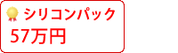 屋根シリコン塗料パック