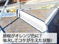 屋根がオレンジ色に？吸水してコケが生えたコロニアル屋根