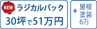 ラジカル塗料パック