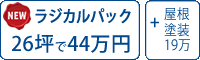 ラジカル塗料パック