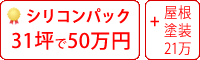 ラジカル塗料パック