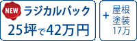 ラジカル塗料パック