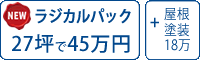 ラジカル塗料パック