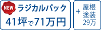 ラジカル塗料パック