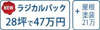 ラジカル塗料パック