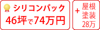 シリコン塗料パック