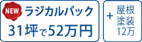 ラジカル塗料パック