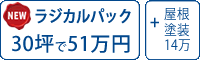 ラジカル塗料パック