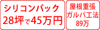 ラジカル塗料パック