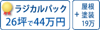 ラジカル塗料パック