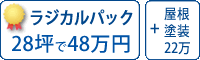 ラジカル塗料パック