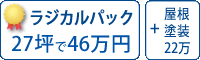 ラジカル塗料パック