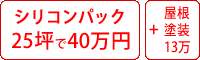 シリコン塗料パック