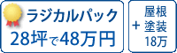 シリコン塗料パック