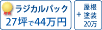 ラジカル塗料パック