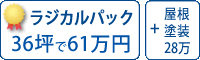 ラジカル塗料パック