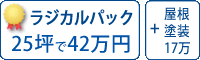 ラジカル塗料パック