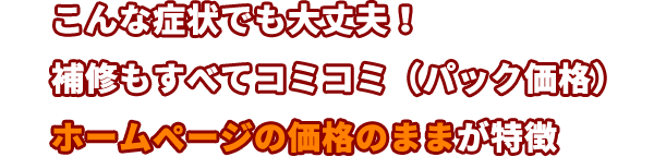 こんな症状でも大丈夫！補修もすべてコミコミ（パック価格）ホームページの価格のままが特徴、標準的な塗装工事において